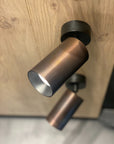 THE MIC S