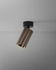 THE MIC S